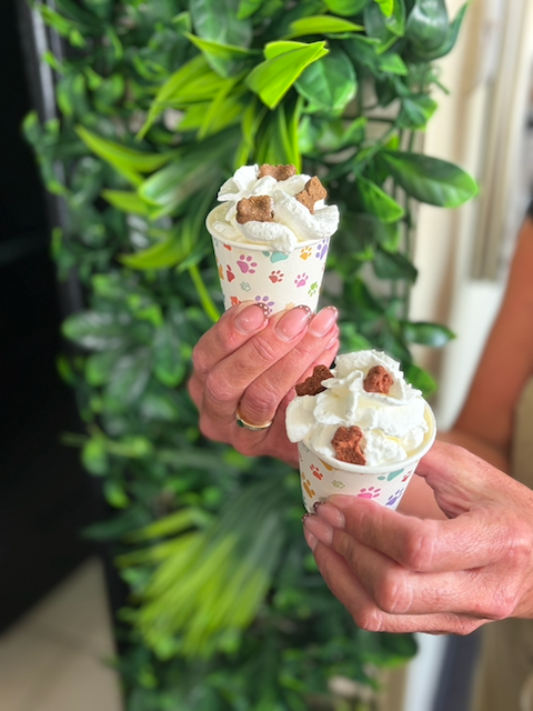 Two hands holding floral paper cups topped with whipped cream and chocolate brownie pieces against a leafy green background
