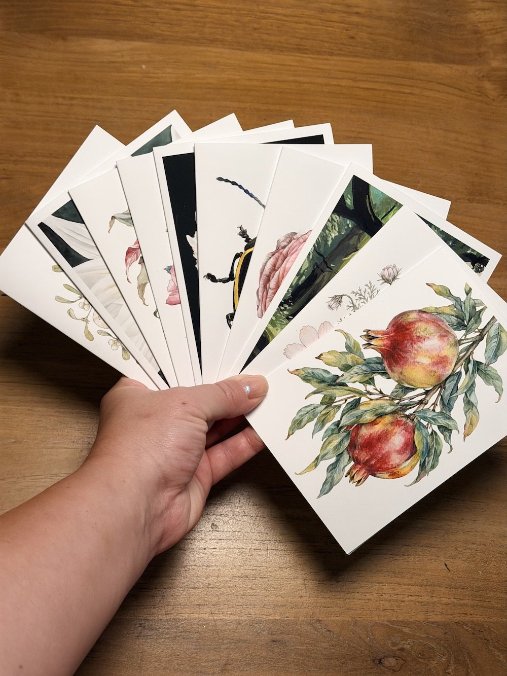 botanical-greeting-cards-set-of-ten.jpg