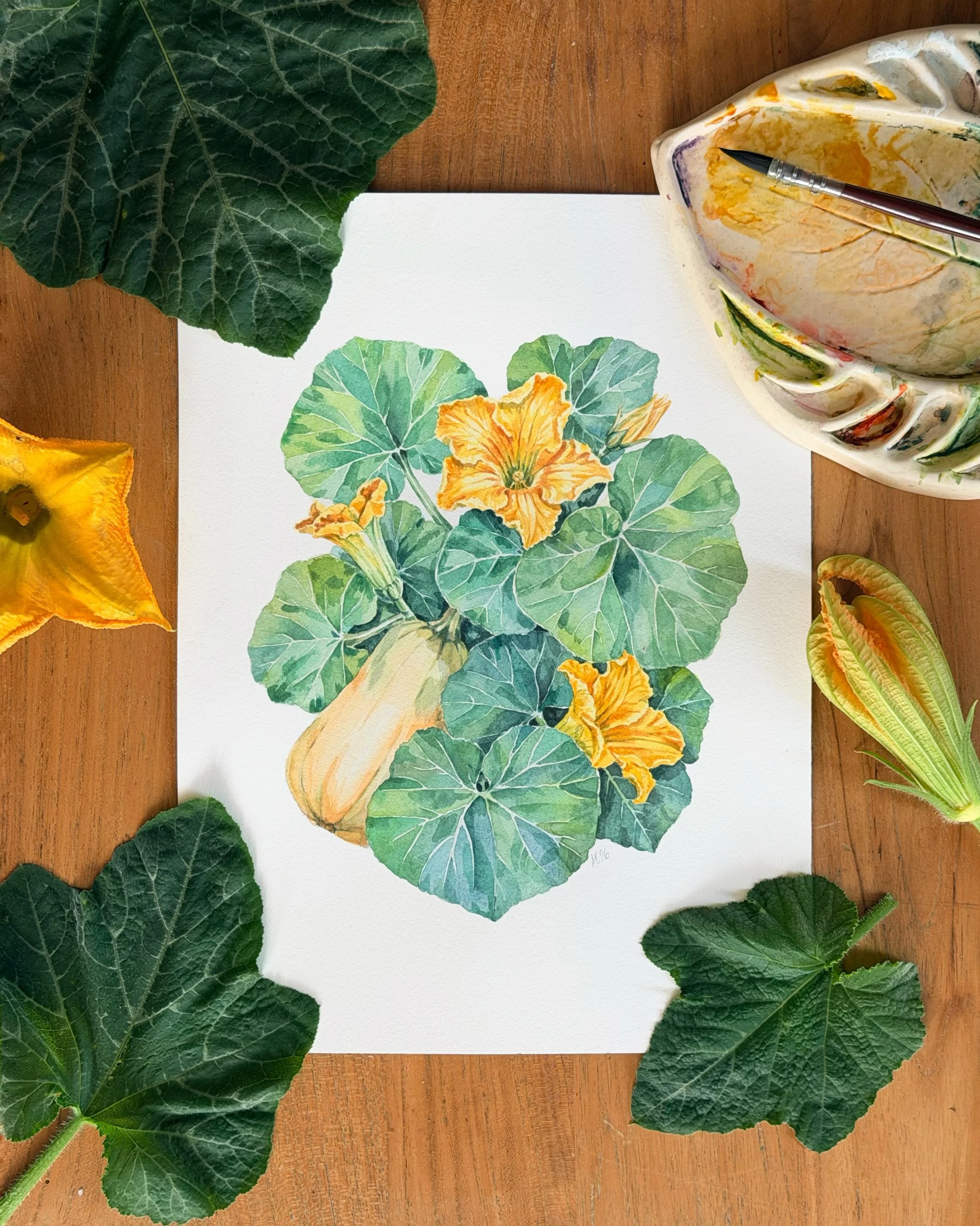 One of my favourite vegetables to grow every year: Butterbush squash. 
It&rsquo;s a compact plant, incredibly productive, and perfect even for smaller gardens. The fruit is delicious, with very few seeds. The long neck is almost entirely seedless, ma