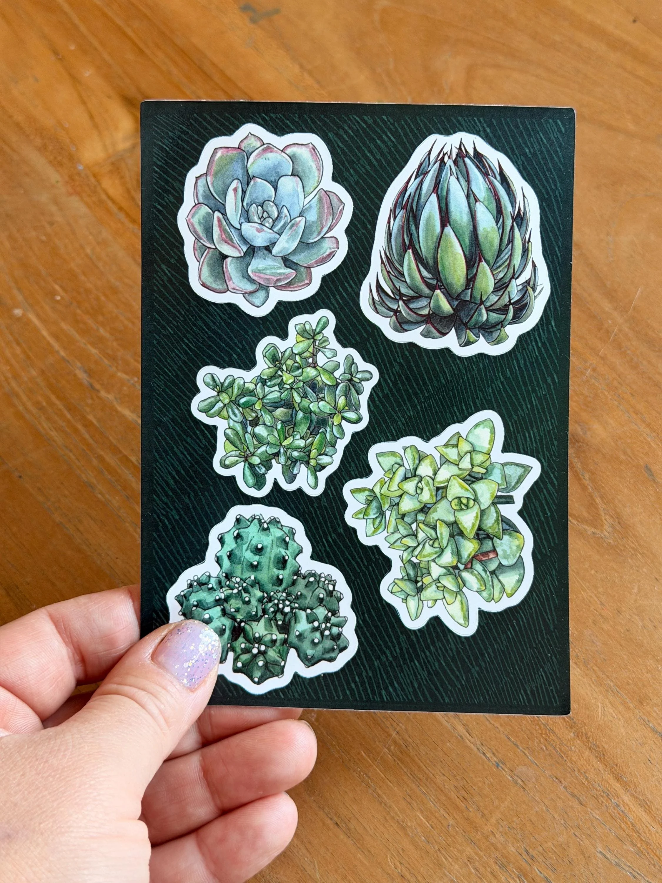 Succulent Plants Sticker Sheet - A6
