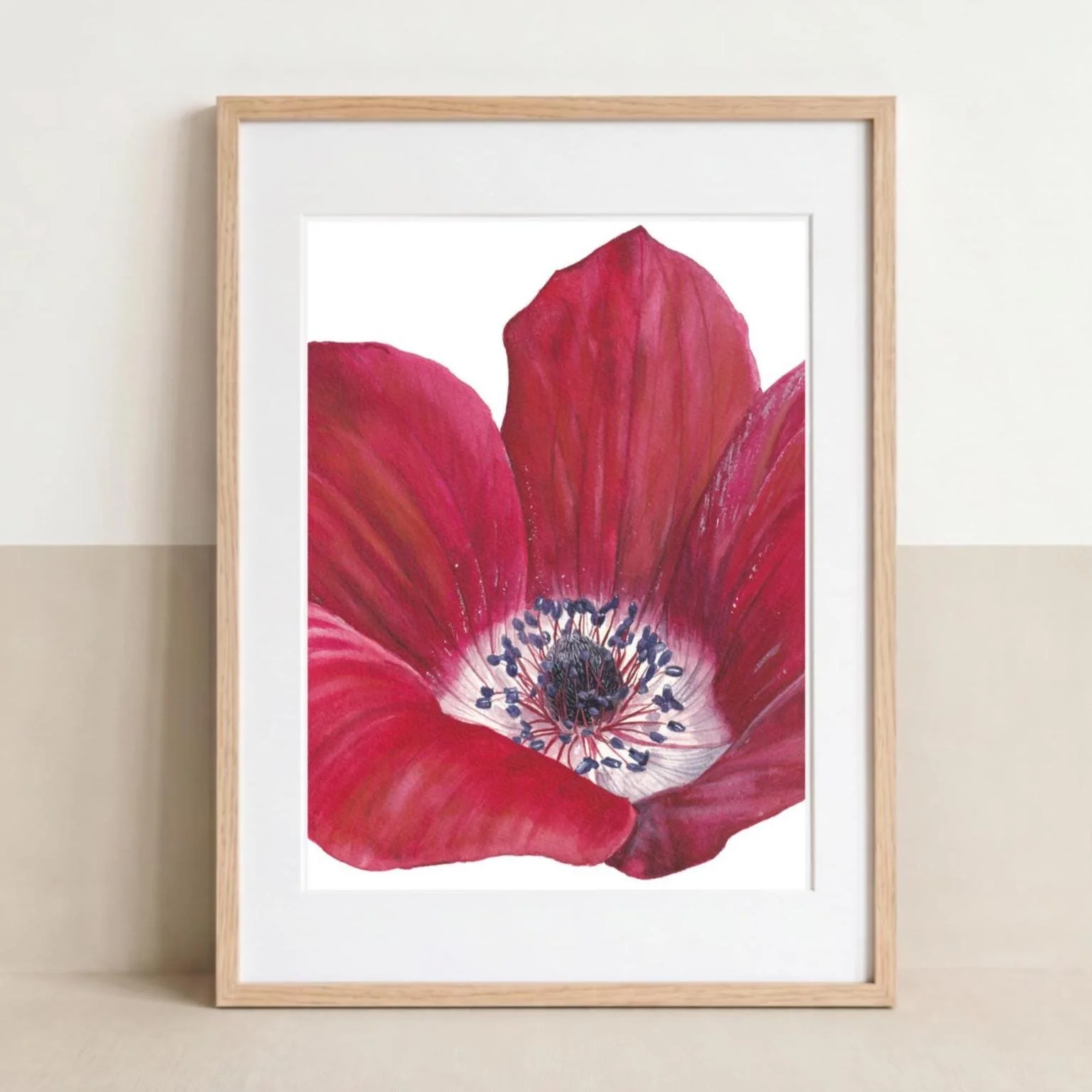 Red Anemone