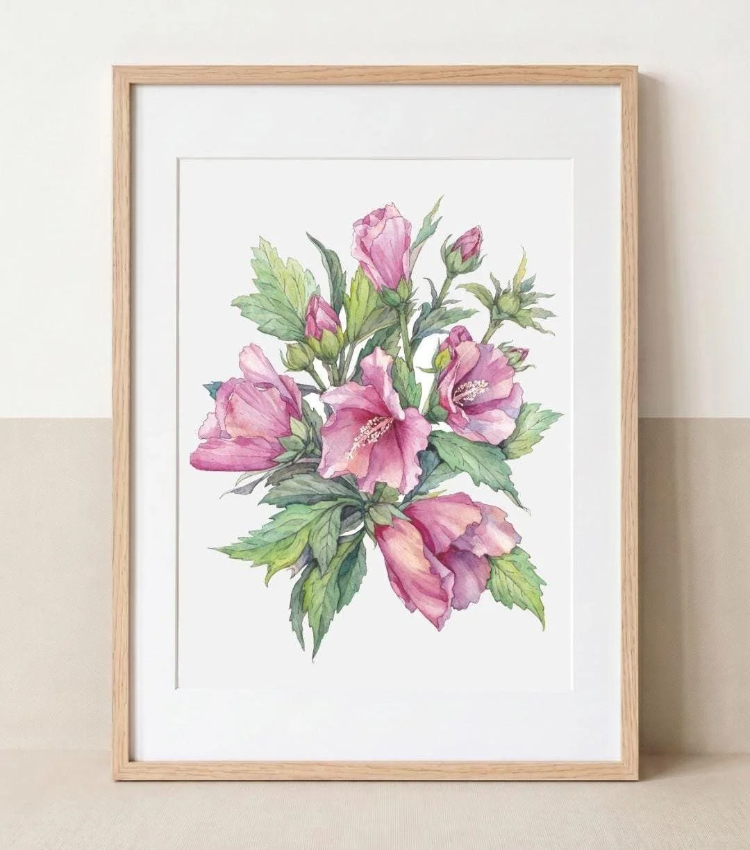 Blush Hibiscus | Rose of Sharon