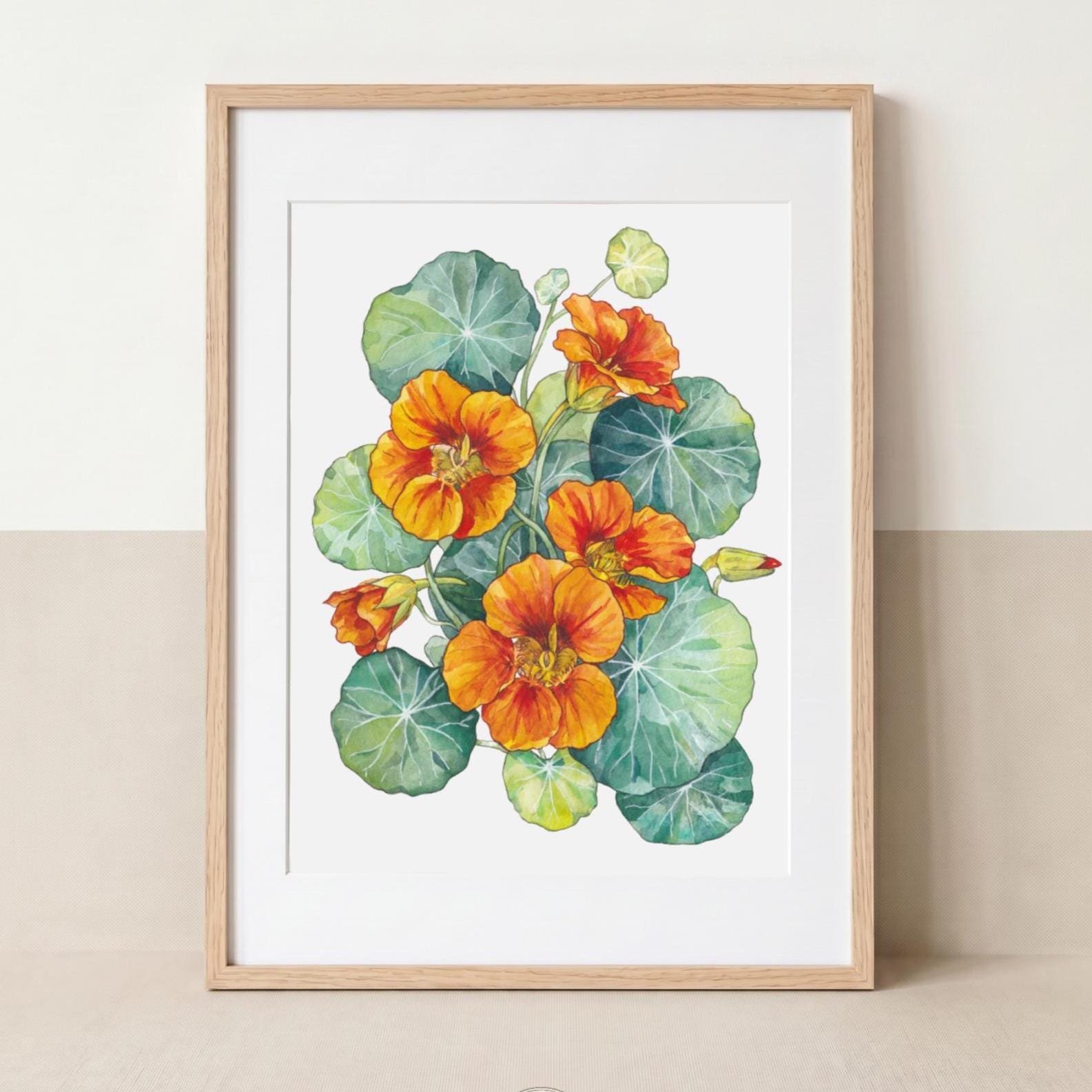 Summer Nasturtiums
