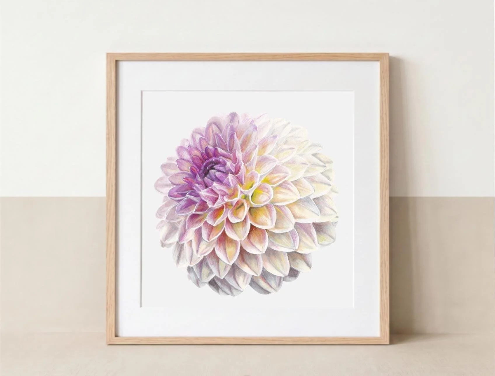 Hillcrest Suffusion Dahlia
