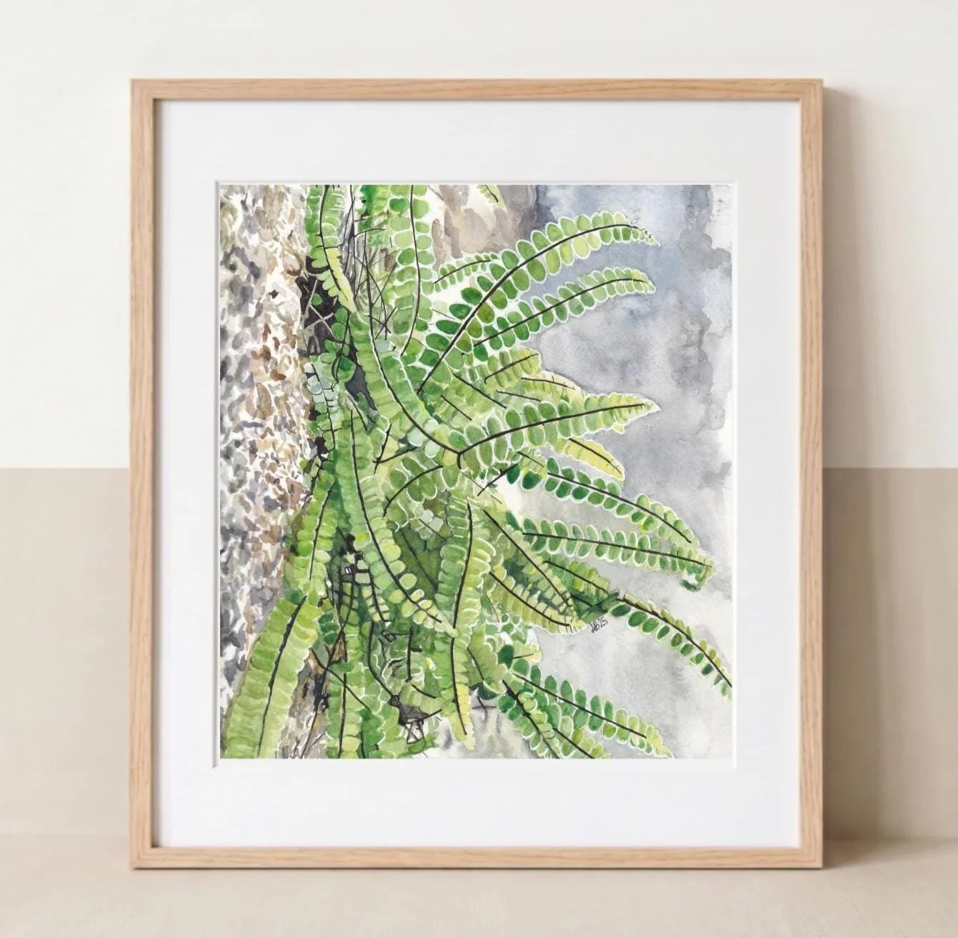 Growing from Stone | Asplenium trichomanes