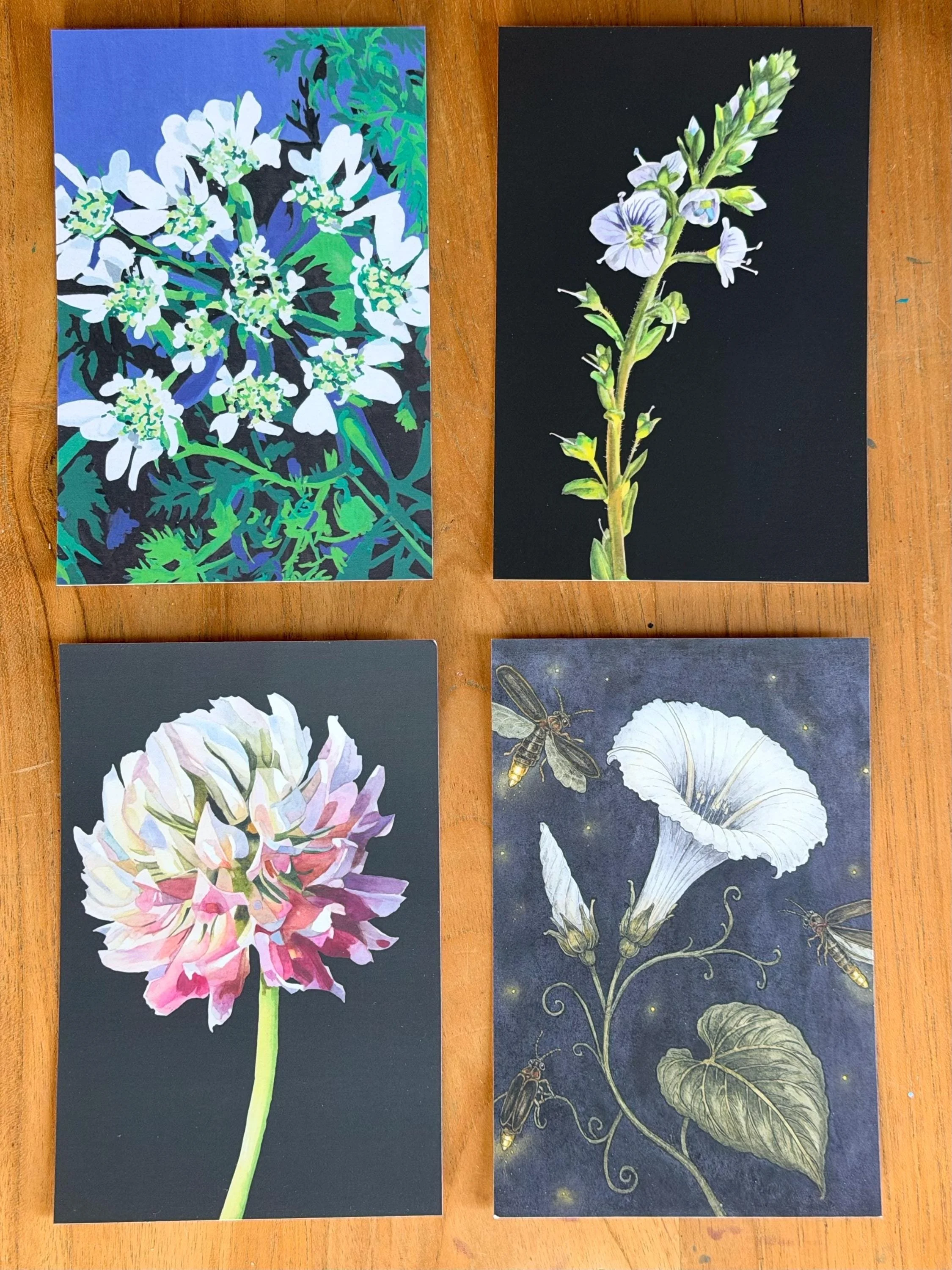 Dark Botanical Postcards - Set of 4