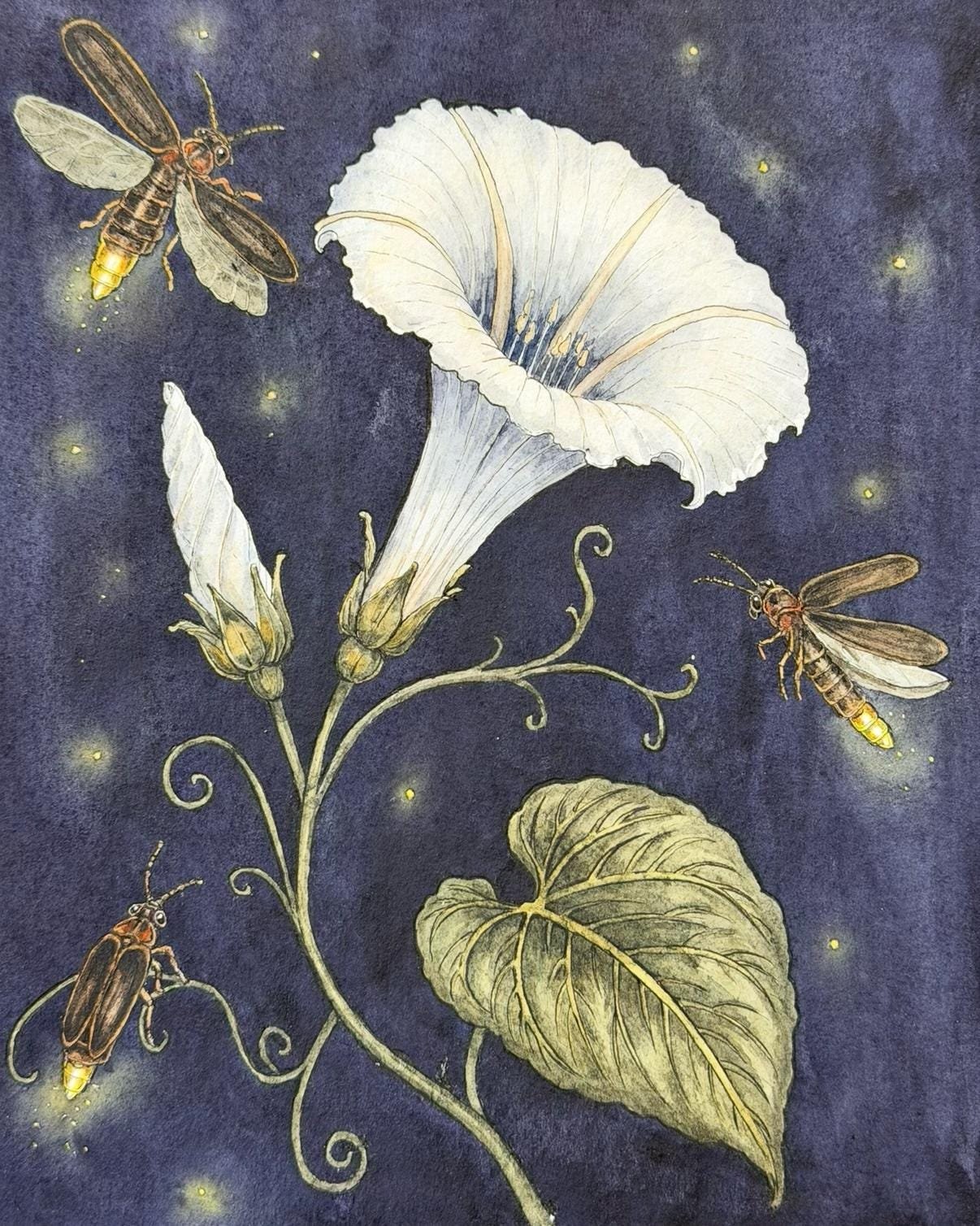 Close-up of the botanical watercolour print on textured matte fine art paper, showing delicate ink outlines and layered colours.