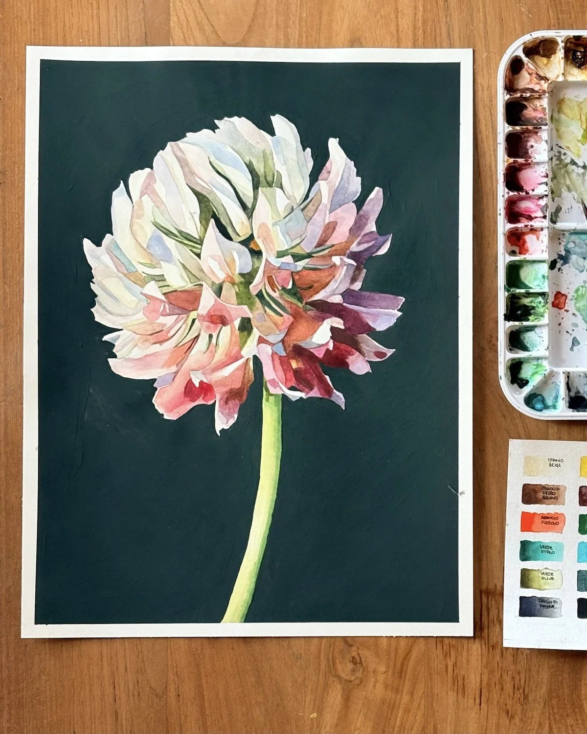 Original clover flower painting in watercolour and acrylic, with pink, cream and green petals against a dark green background on a wooden desk.