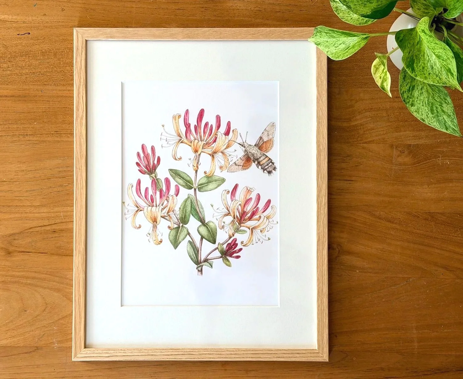 Framed botanical paper print reproduced from an original watercolor painting by Alice Breda, printed as a museum-quality giclée on archival fine art paper with an oak wood frame and gallery-style mat.