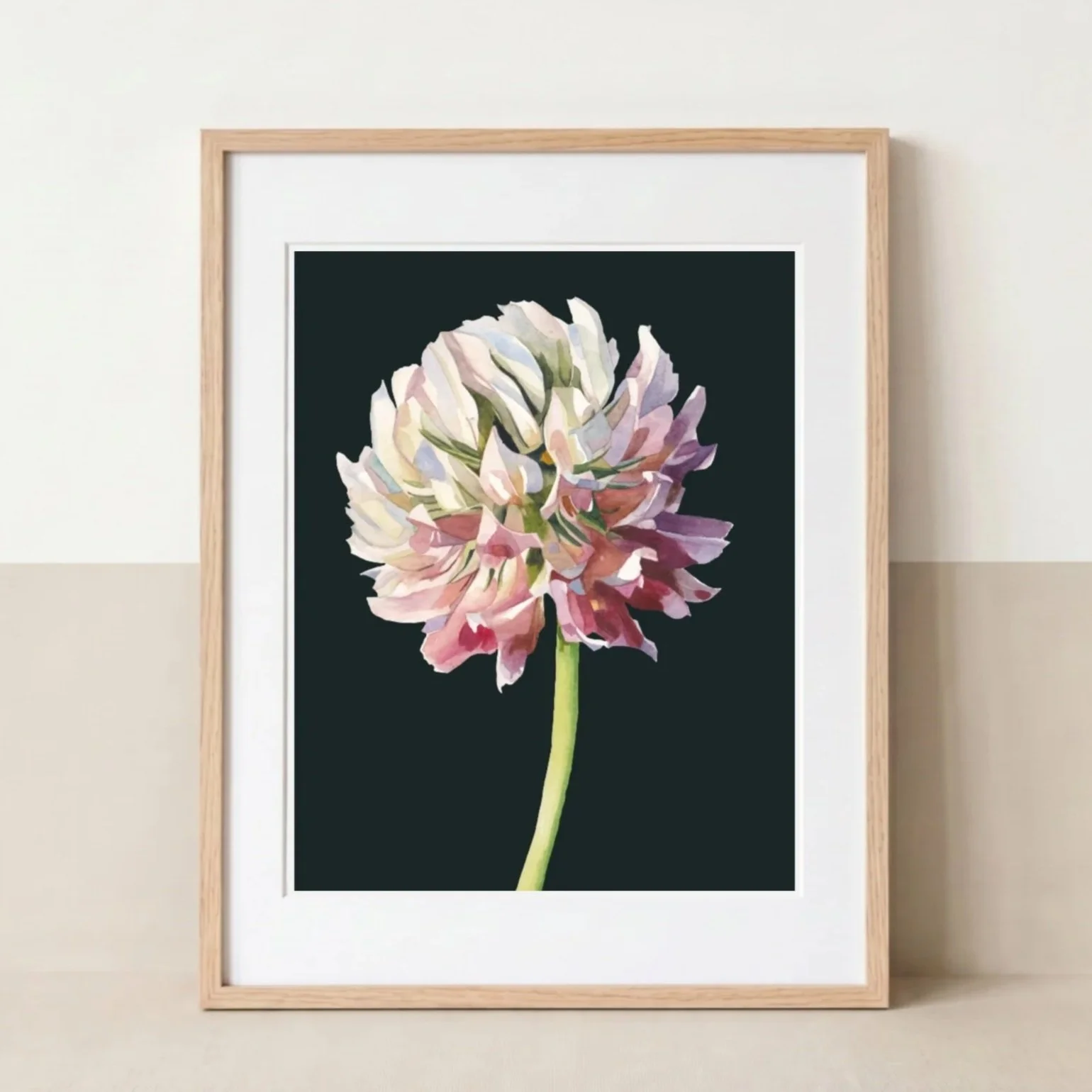 Clover botanical art print featuring a close-up watercolour painting of a pink and cream clover flower against a dark green background, displayed in a natural oak frame.