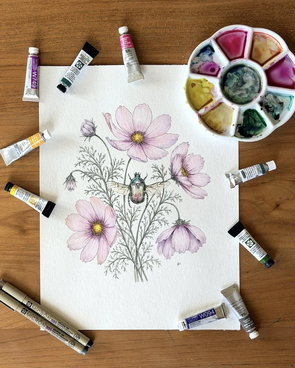 Original botanical painting of a Rose Chafer (Cetonia aurata) among Cosmos bipinnatus flowers, photographed with the watercolor palette, brushes and ink used to create it.