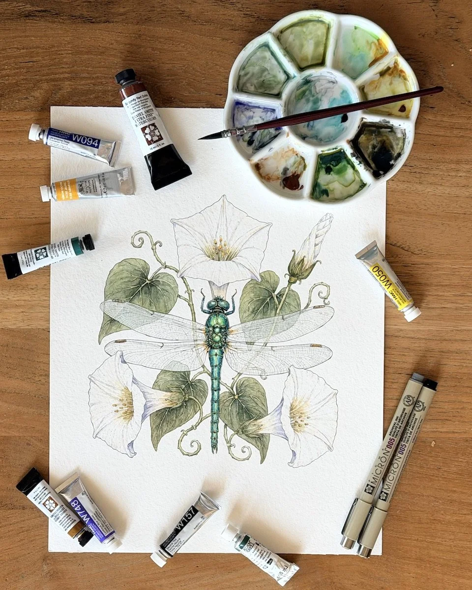 Original botanical artwork of a blue dragonfly and moonflower with watercolor palette, brushes and painting materials.
