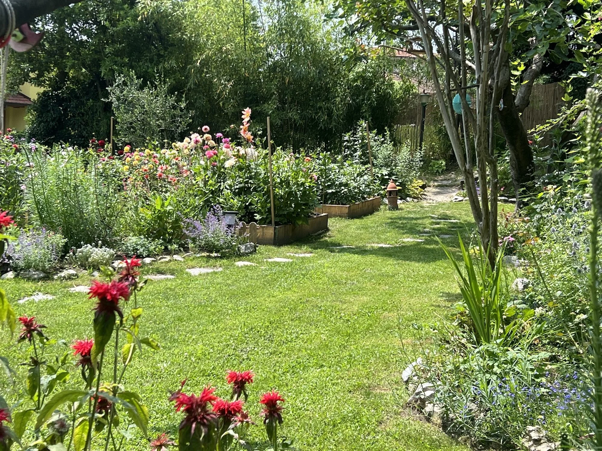 The no-dig flower and vegetable garden in Northern Italy where Alice Botanica grows many of the plants featured in her artwork.
