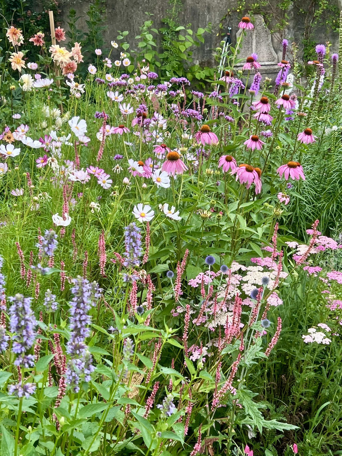 Pollinator-friendly flower borders filled with perennial and annual blooms in Alice Botanica's garden.