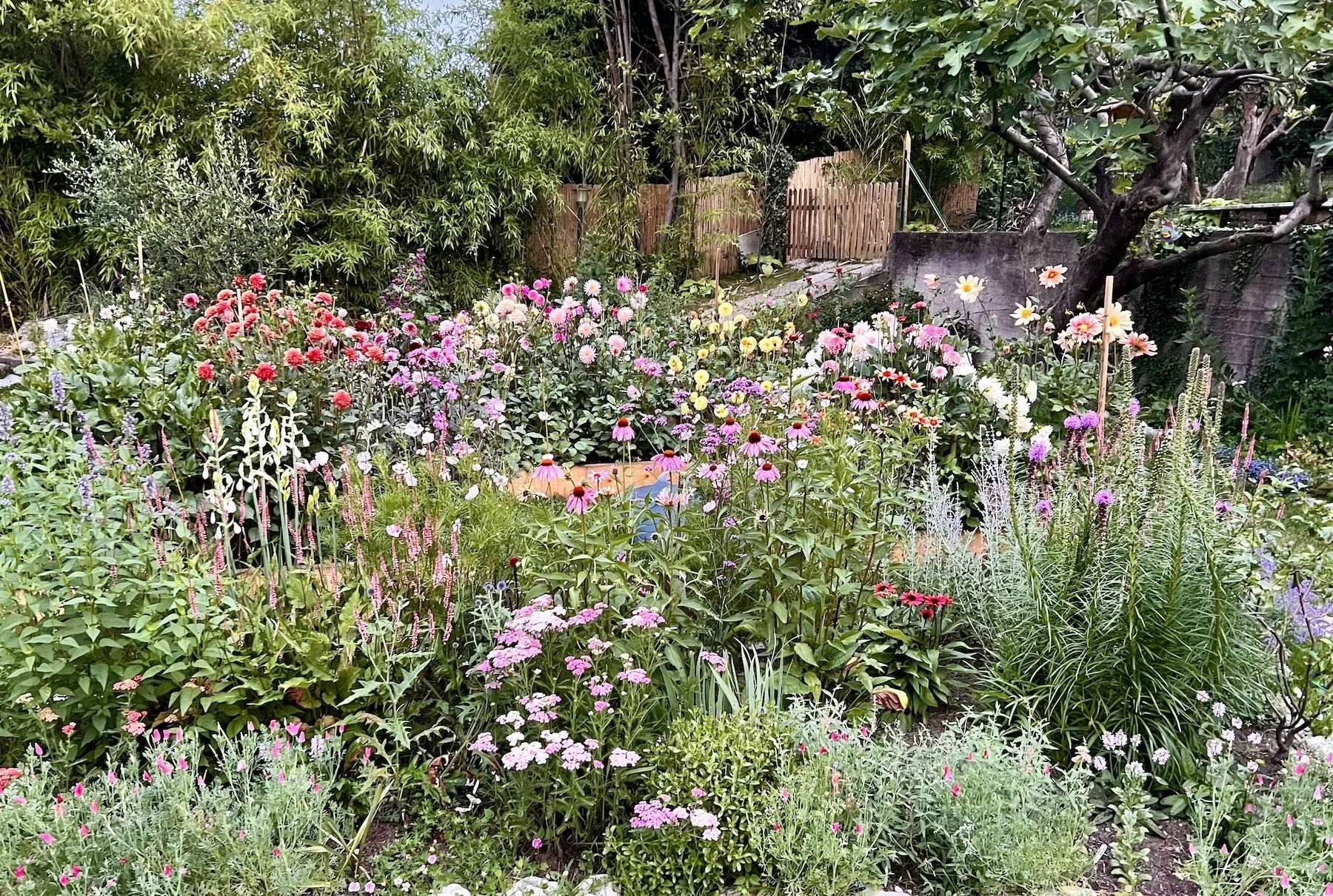 Botanical cutting garden in Northern Italy with flowering borders, dahlias, echinacea, vegetables, and pollinator-friendly plants that inspire Alice Breda's botanical paintings.