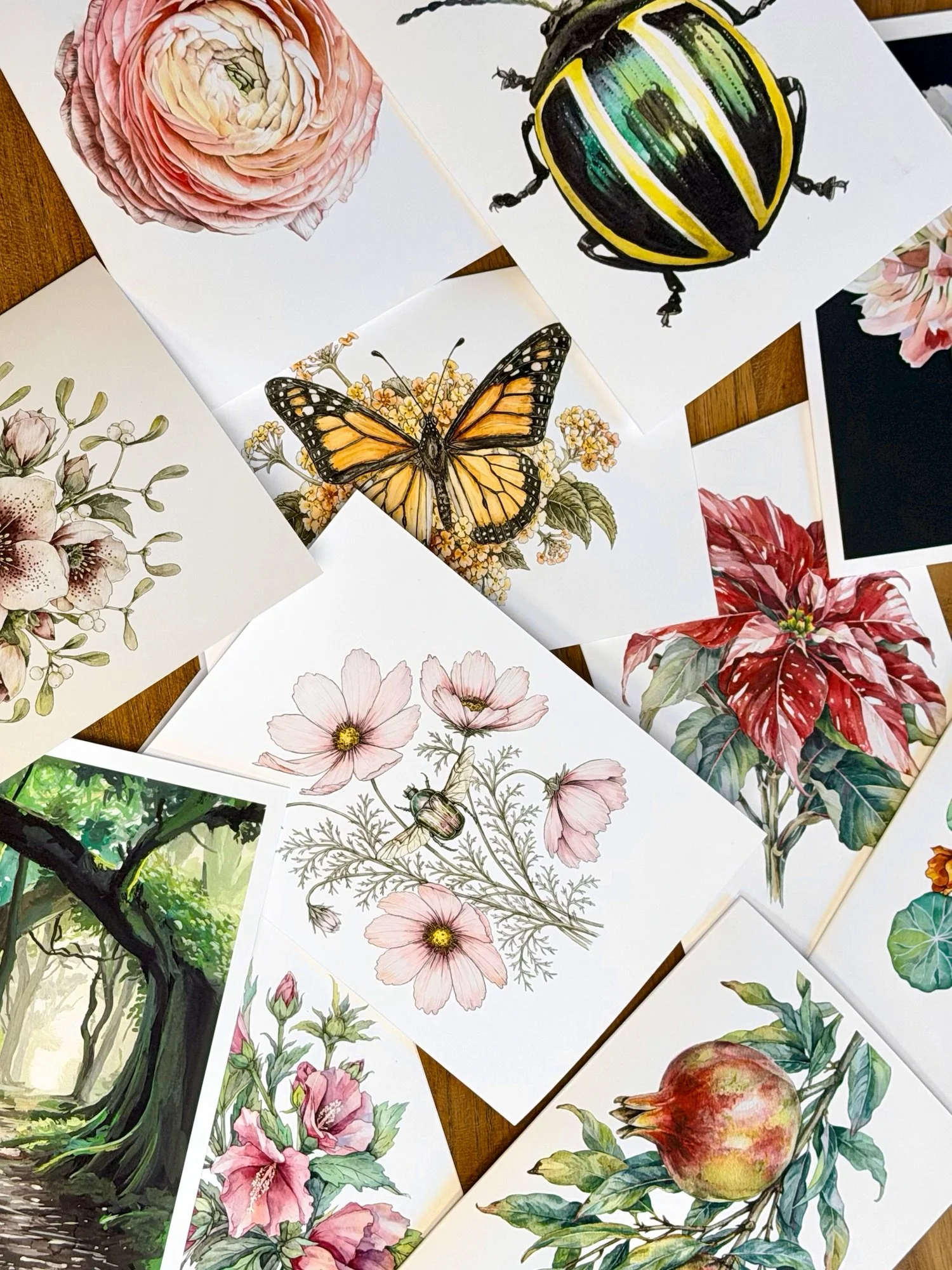 Close-up of botanical greeting cards featuring delicate hellebore flowers and a red poinsettia, painted in watercolor.