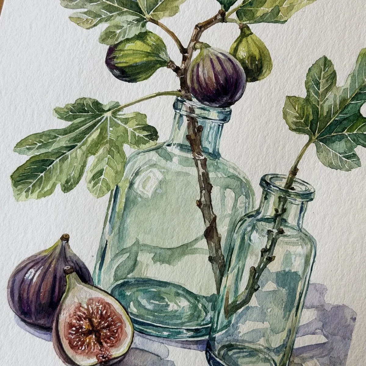 Figs & Glass Bottles