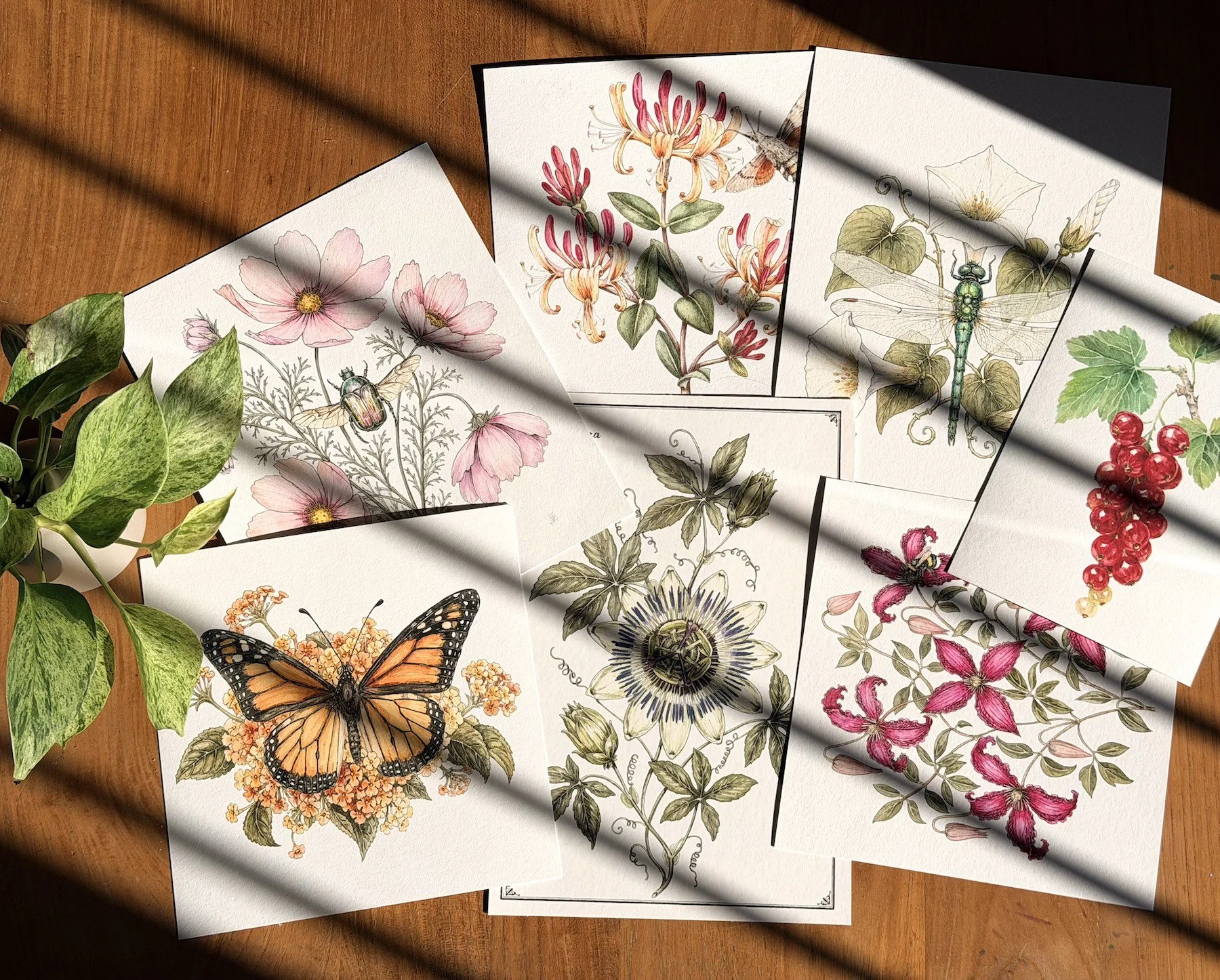 A curated collection of botanical fine art prints featuring flowers, insects and plants, professionally printed on Hahnemühle archival paper.