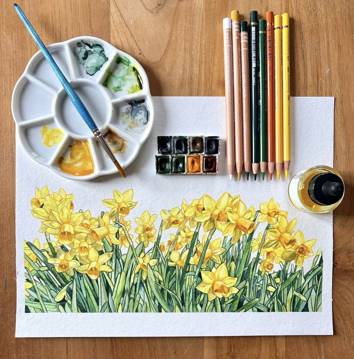 My original daffodil botanical painting alongside the watercolor palette, brushes and colored pencils used to create it.