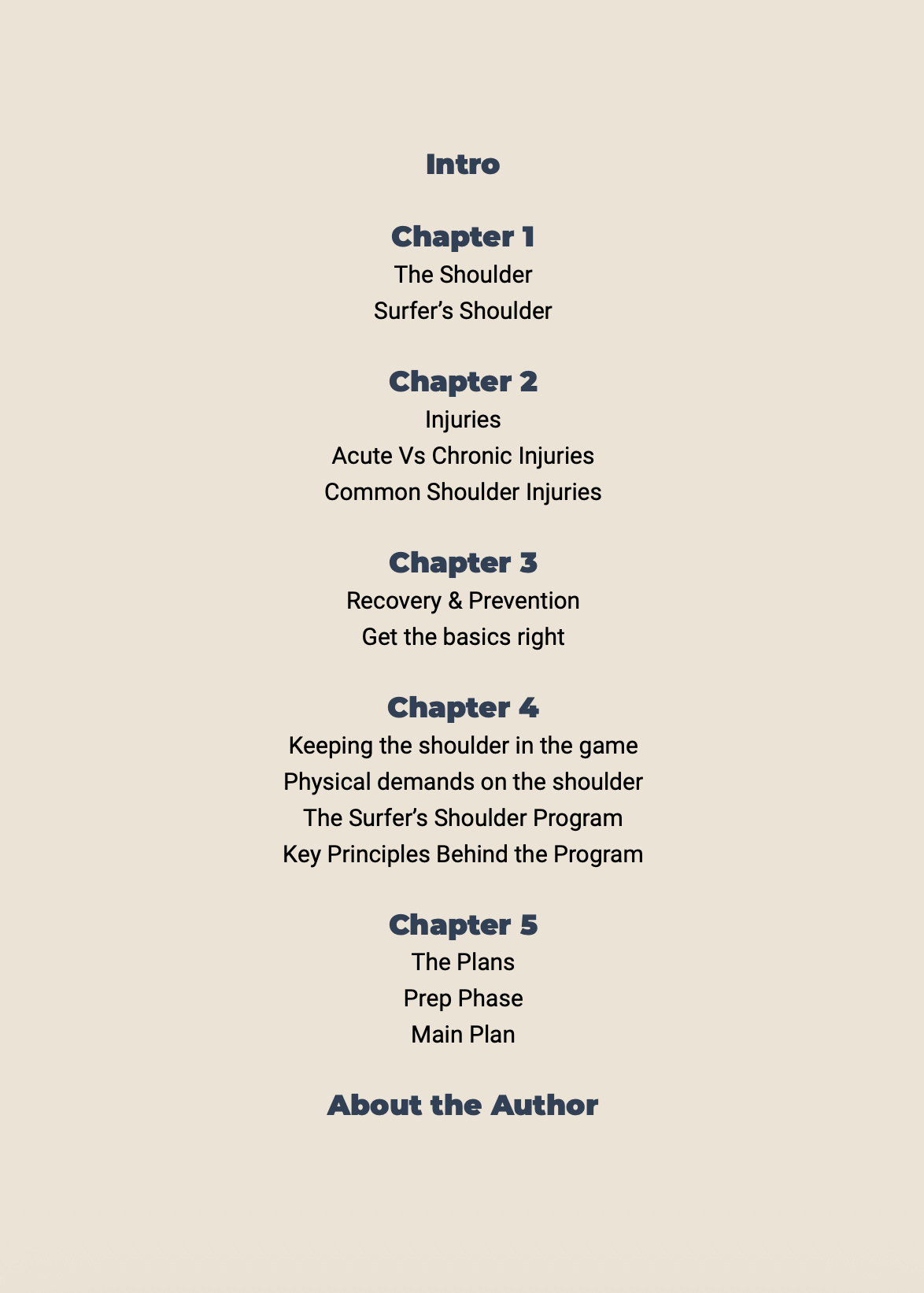Table of contents of the Shoulder Health & Performance program for surfers