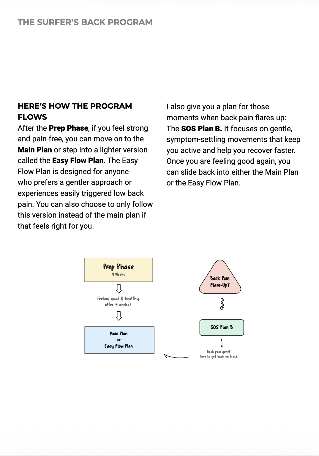 Diagram showing the progression through The Surfer's Back Program