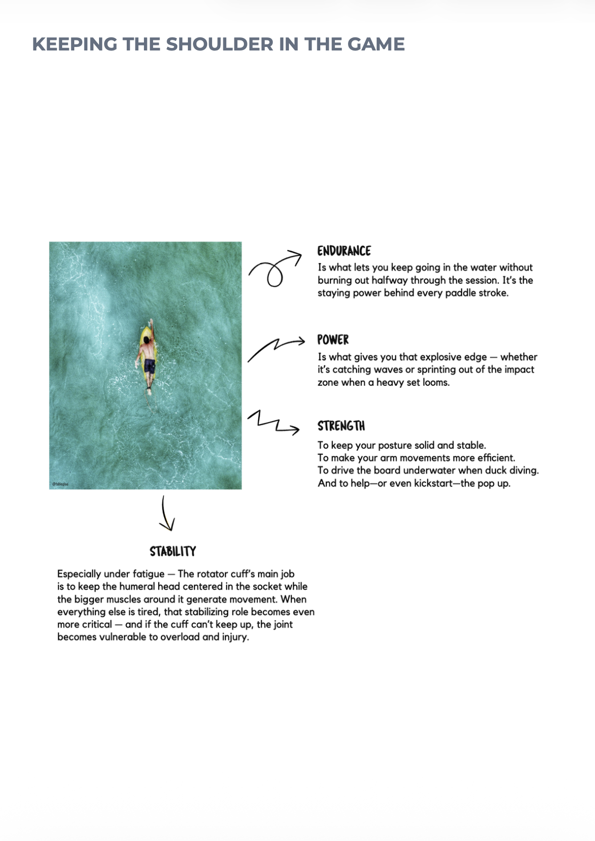 Diagram explaining the key physical qualities for healthy, high-performing surfer shoulders: endurance, power, strength, and stability.