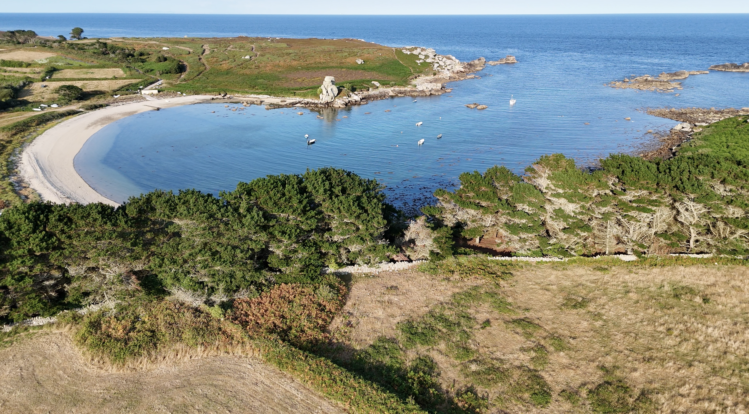 Cornwall: A vote of no confidence in South West Water