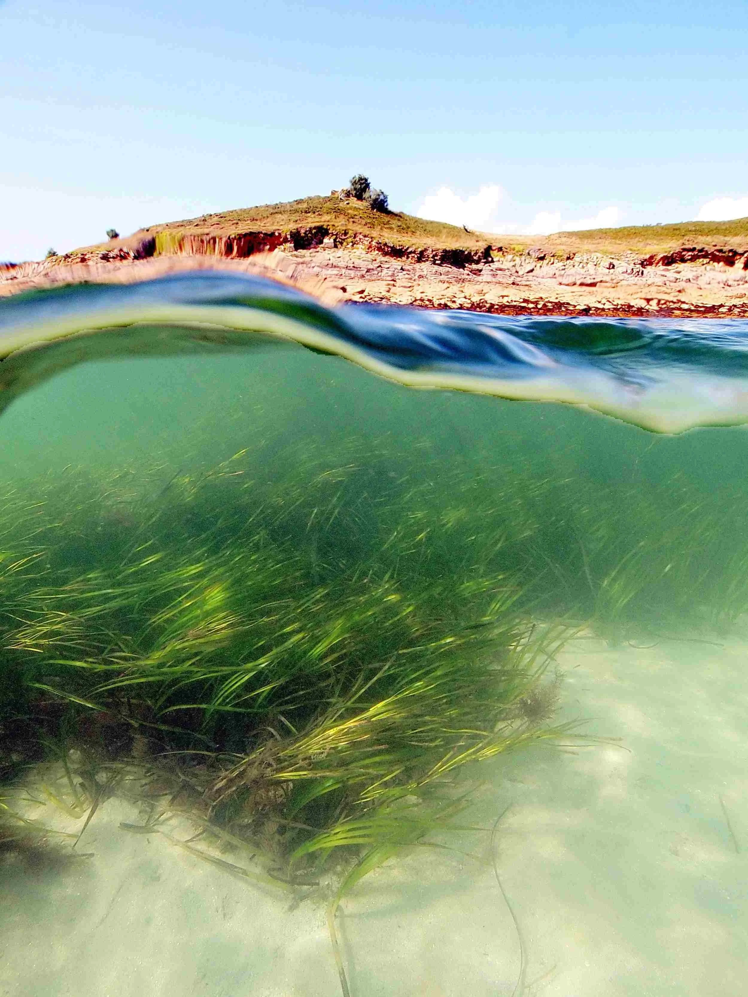 a photo split in half by the waterline - beneath is sand and a seagrass bed and above is a rocky shore and hill and blue sky.