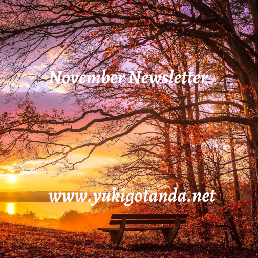 Sunset over a lake with colorful autumn trees and a bench in the foreground, overlaid with white text reading 'November Newsletter' and 'www.yukigotanda.net'.