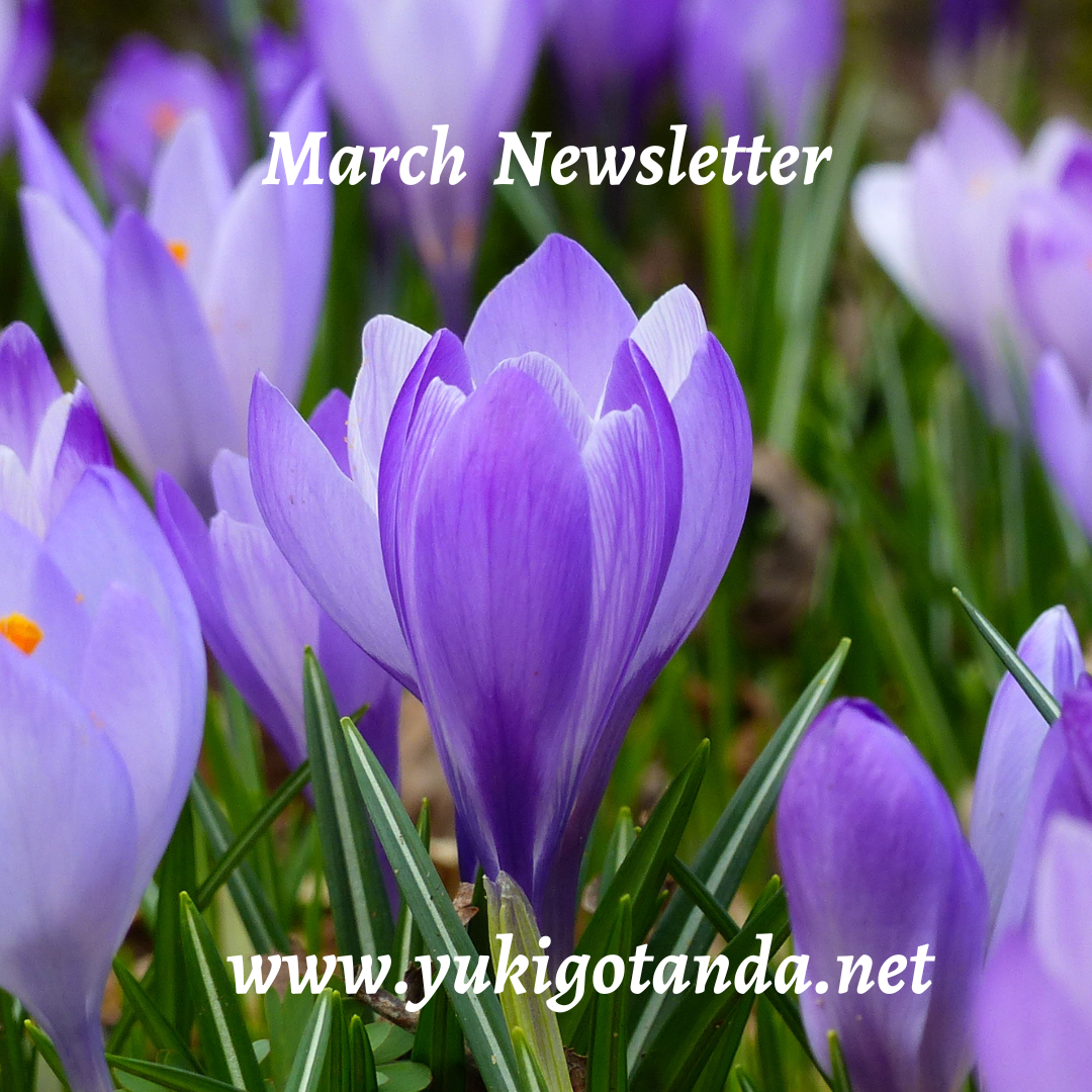 Close-up of purple and lavender crocus flowers in bloom with green grass, with text overlay saying 'March Newsletter' and the website 'www.yukigotanda.net'.