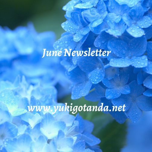 Close-up of blue hydrangea flowers with water droplets. Text overlay reading 'June Newsletter' and 'www.yukigotanda.net'.