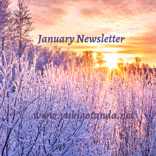 Sunset over snow-covered bushes and trees with text "January Newsletter" and website URL "www.yukigotanda.net".