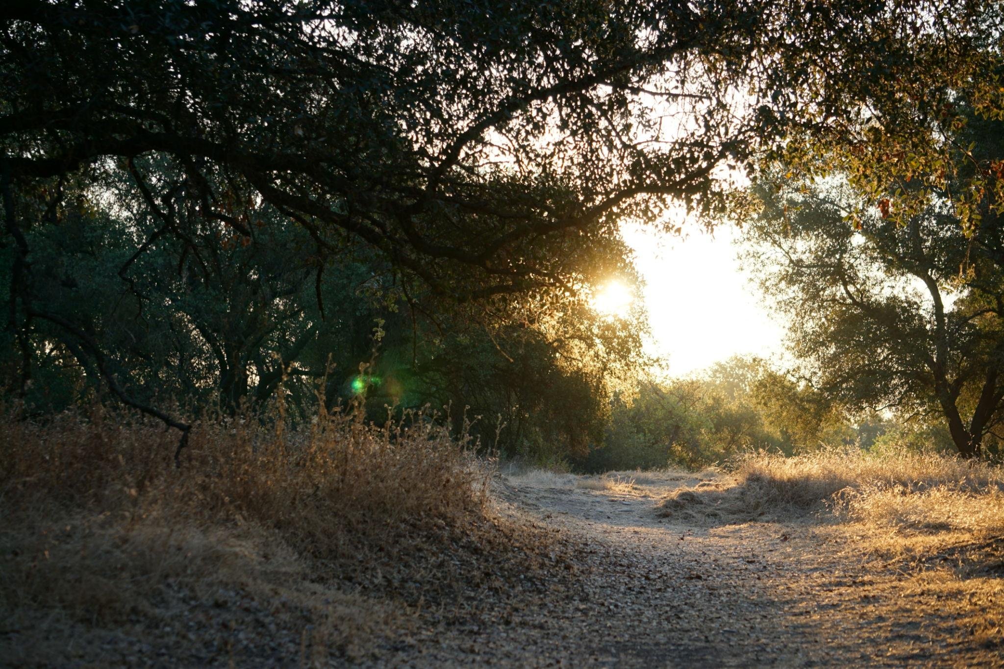 Group Therapy: Nourish & Navigate