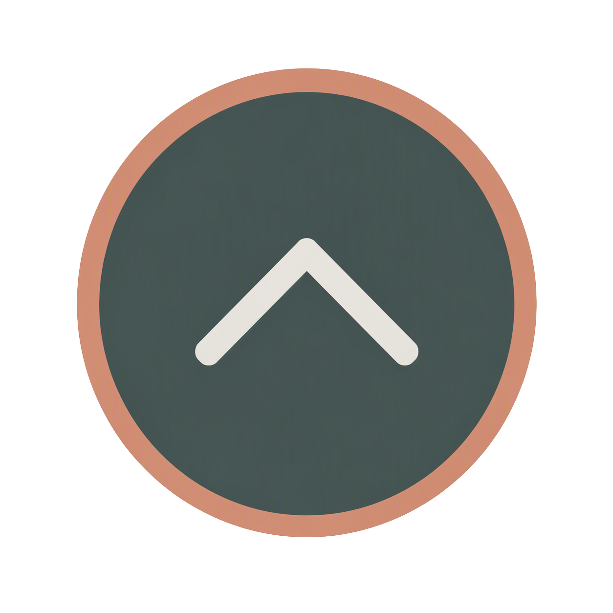 Scroll to Top