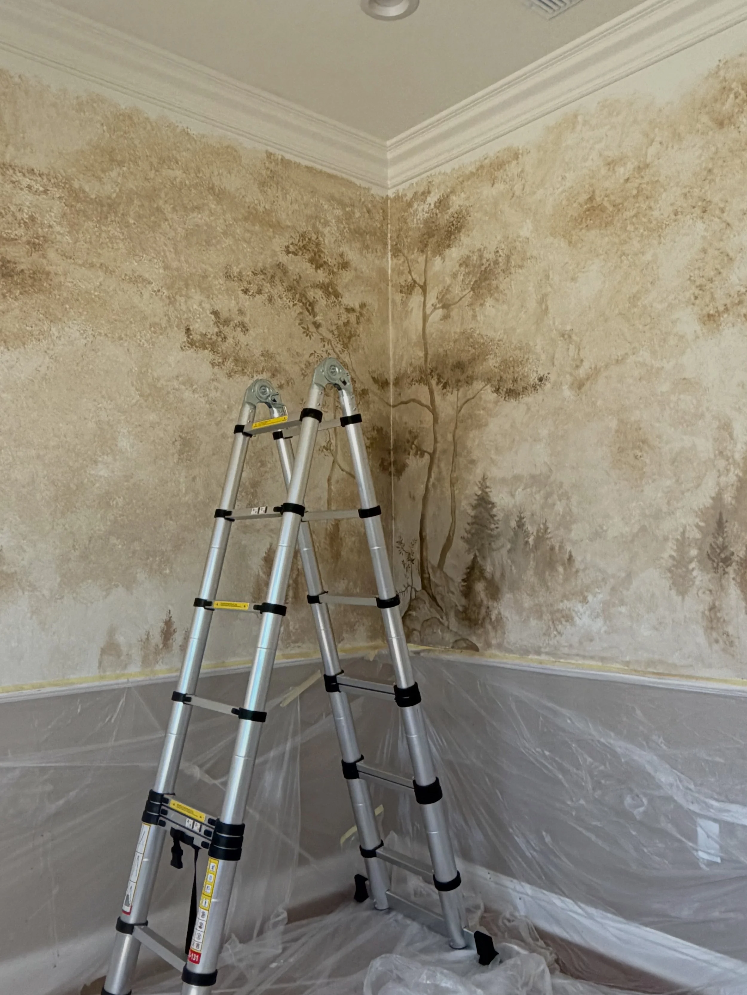 Hand-Painted Wall Covering