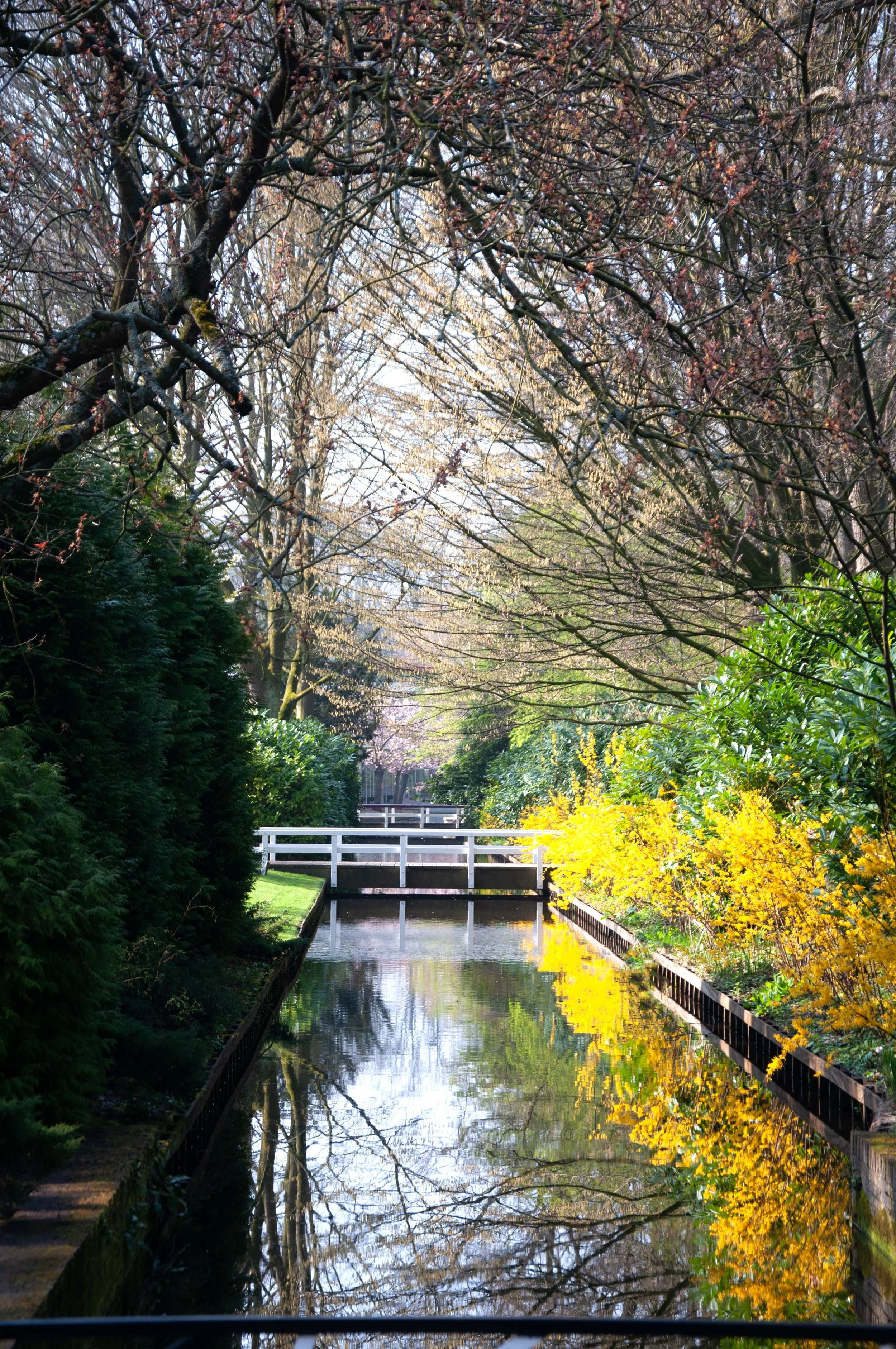 A small canal or drainage ditch with a white bridge crossing over it, surrounded by trees with bare branches and some with yellow leaves. The sky is partly visible through the branches, and the water reflects the trees and sky.