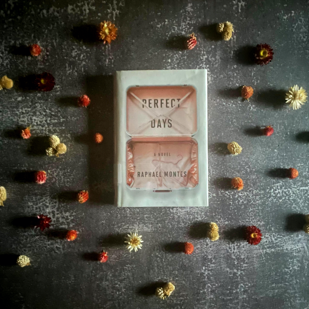 Book Review: Perfect Days by Raphael Montes