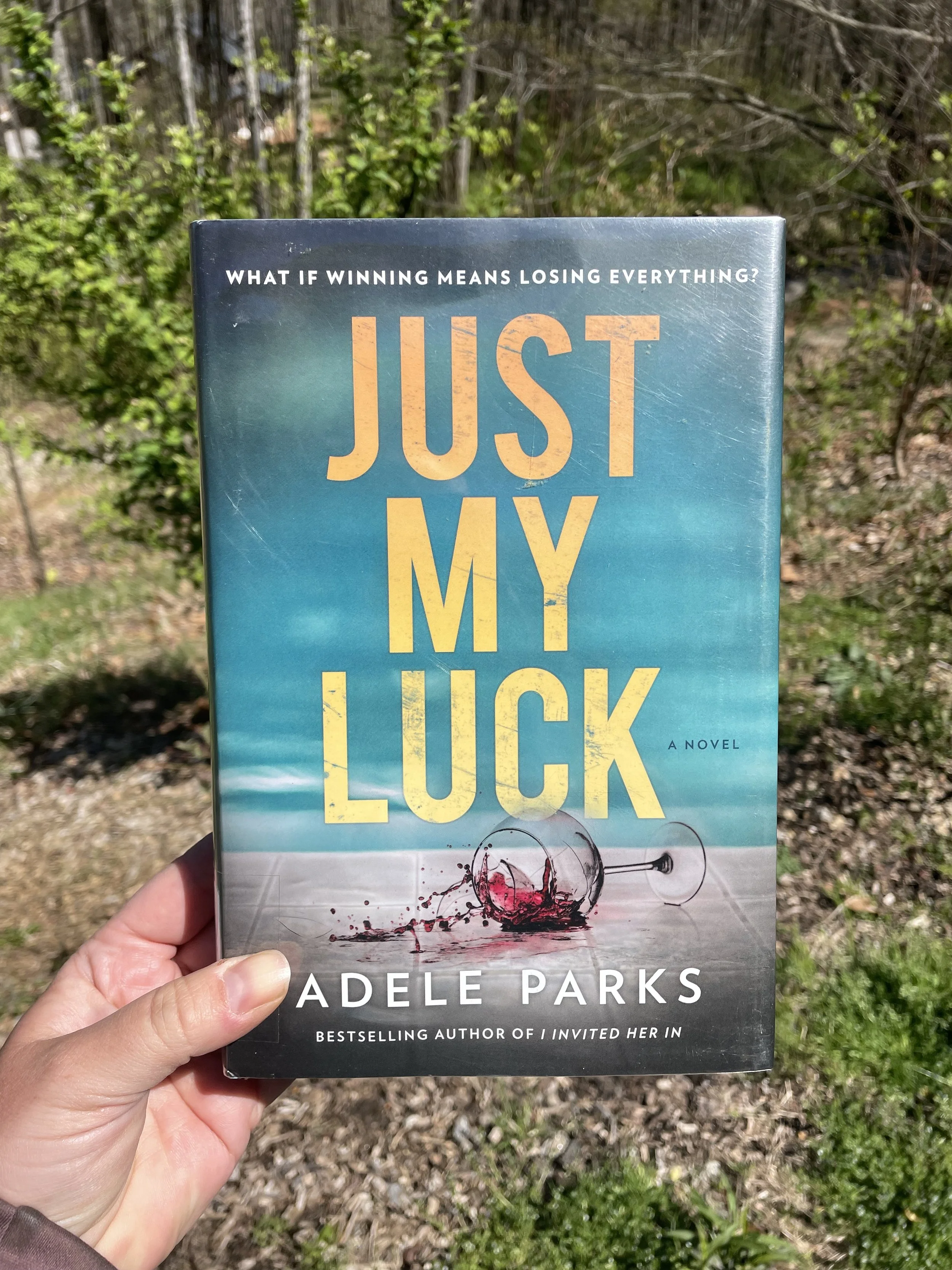 Just My Luck by Adele Parks