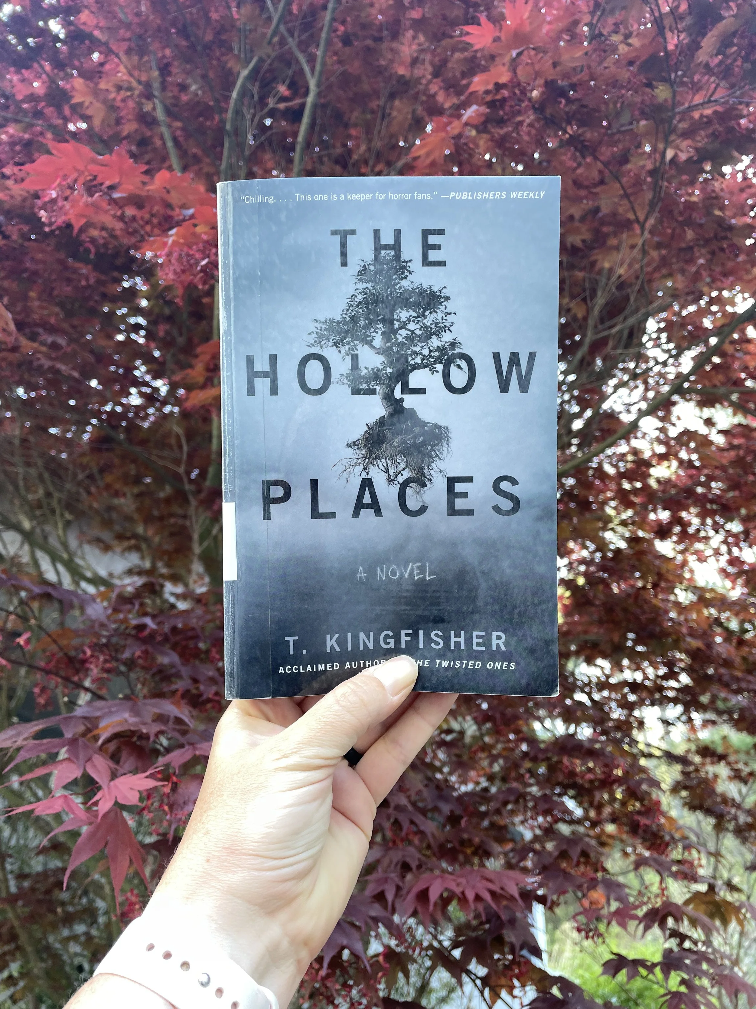 The Hollow Places by T. Kingfisher