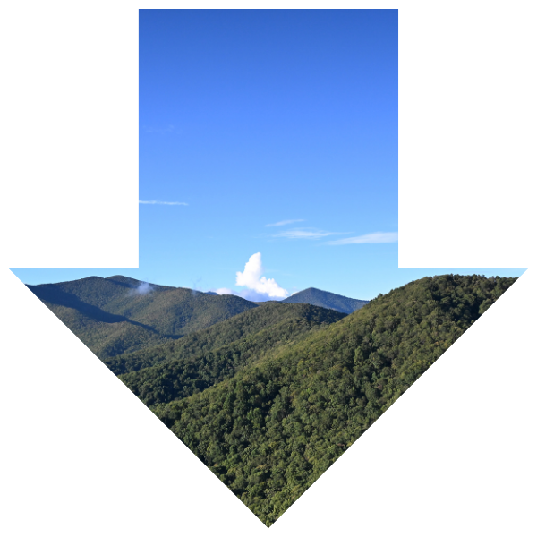 Block arrow pointing down. Inside the arrow is a mountain range and blue sky.