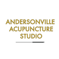 Andersonville Acupuncture Studio
