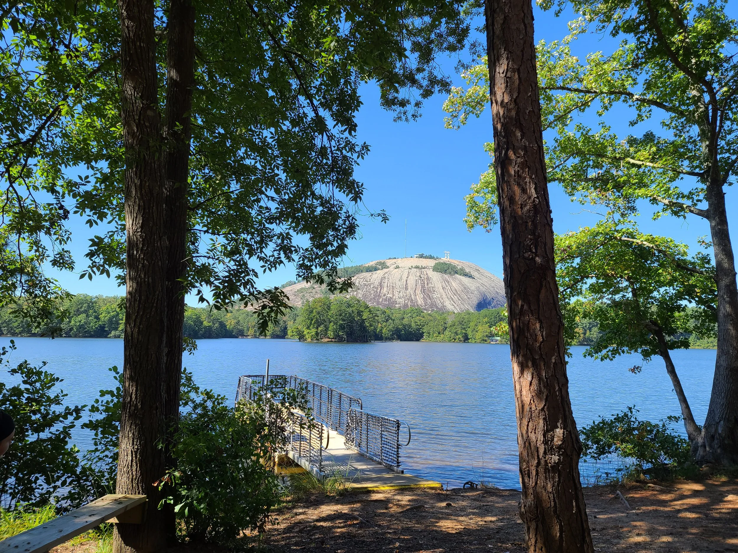 A river with trees along the bank and a hill in the background, viewed from a forested area with a dock or pier extending into the water.