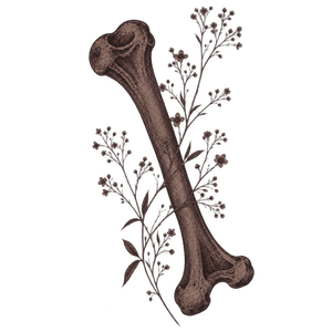 Os anatomique accompagné de fleurs séchées