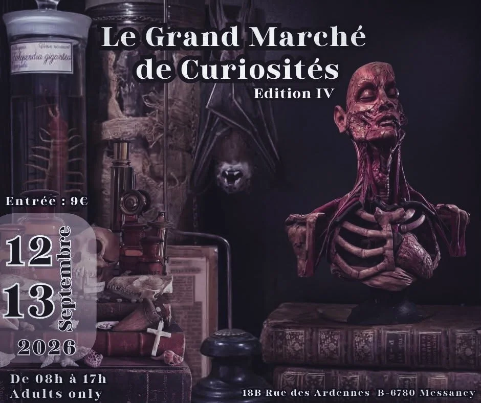 Le grand marché des curiosités