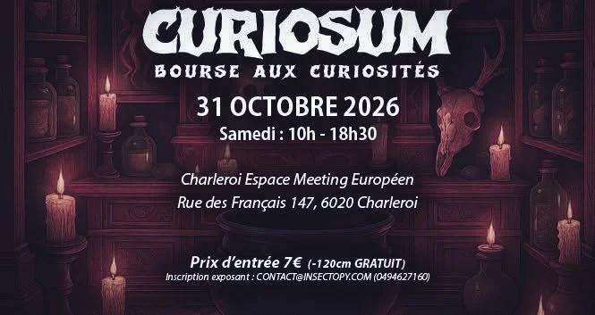 Curiosum