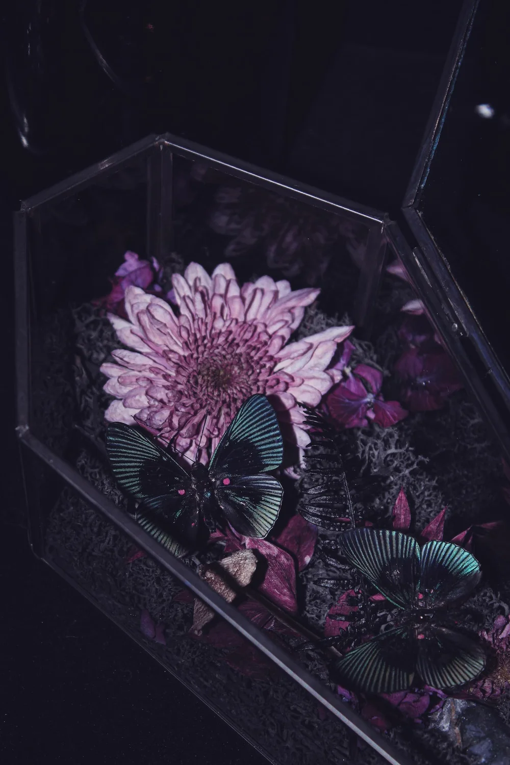 Coffret ouvert avec papillons turquoise et fleur rose, création Amaginarium
