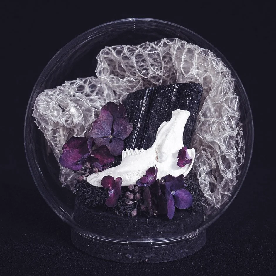 globe-machoire-lapin-fleurs-violettes-peau-serpent-amaginarium.jpg