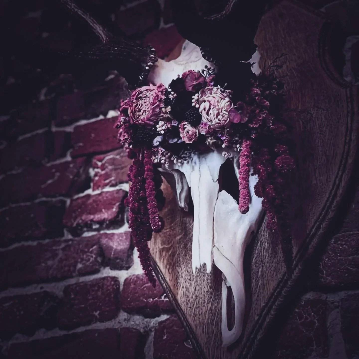 crane-fleurs-sechees-decoration-murale-amaginarium..jpg