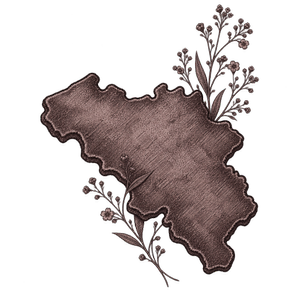 Carte de Belgique accompagnée de fleurs séchées