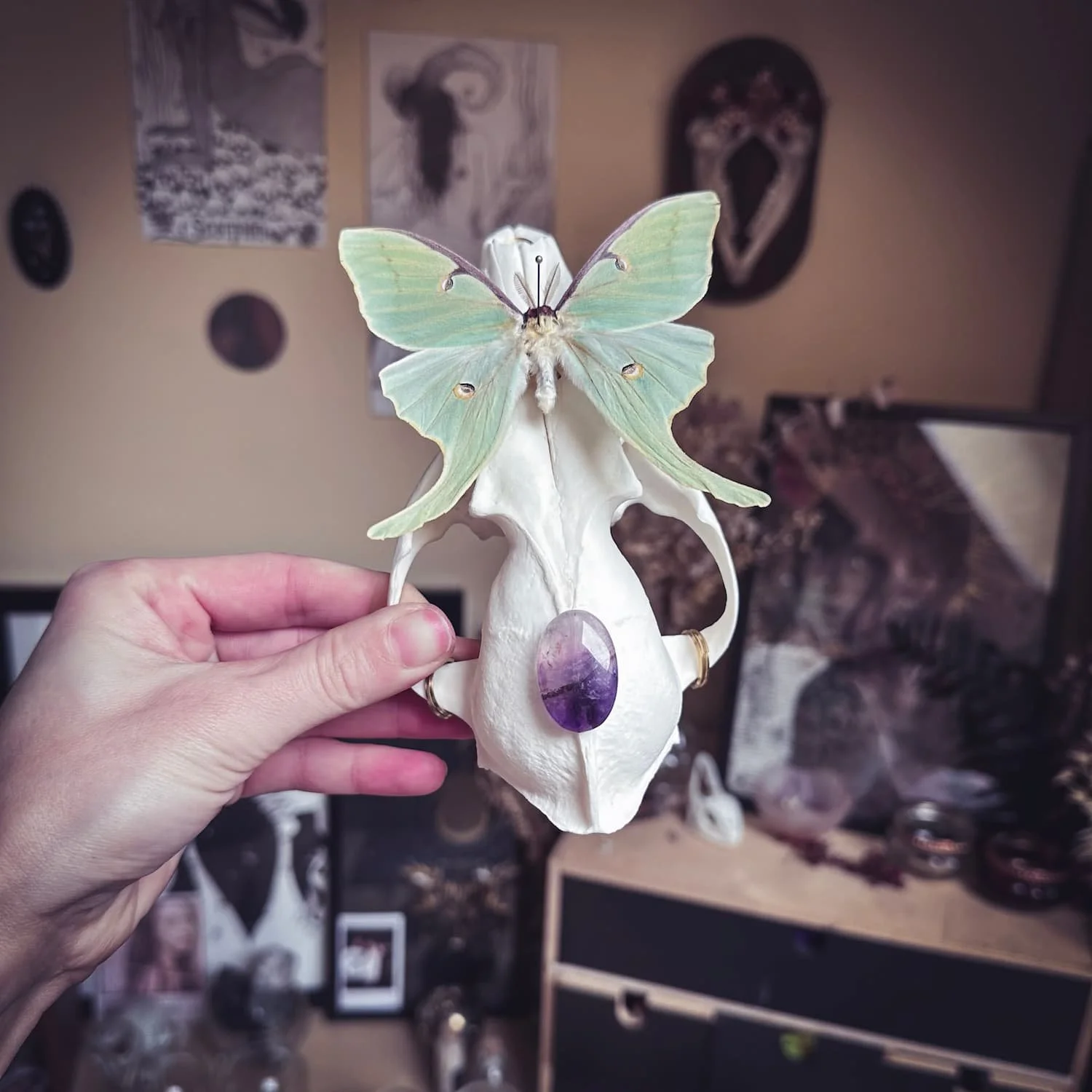 crane-decore-papillon-amethyste-amaginarium.jpg